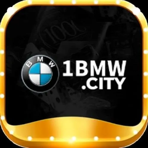 1Bmw icon